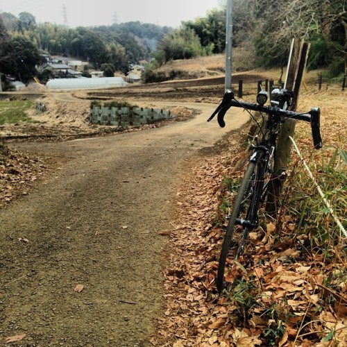 beefmtb:  mizunyang on Instagram