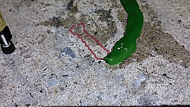 unexplained-events:  Strange Creature in TaiwanA green worm-like creature (believed to be a ribbon worm) with a pink tongue was captured on camera by Wei Cheng Jian while he was fishing.Ribbon worms have a special proboscis, or feeding tube, which it