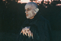yakubgodgave: Klaus Kinski in “Nosferatu the Vampyre” (1979), directed by Werner Herzog