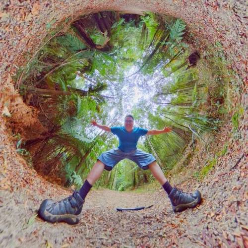 Forest Giant • • • • • #tinyplanet #littleplanet #360 #forest #woods #photosphere #trees #theta360 #