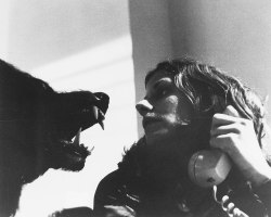 delivermetoevil:  The Howling (Joe Dante,