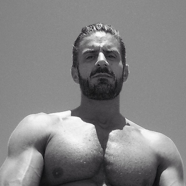 Muscle dads