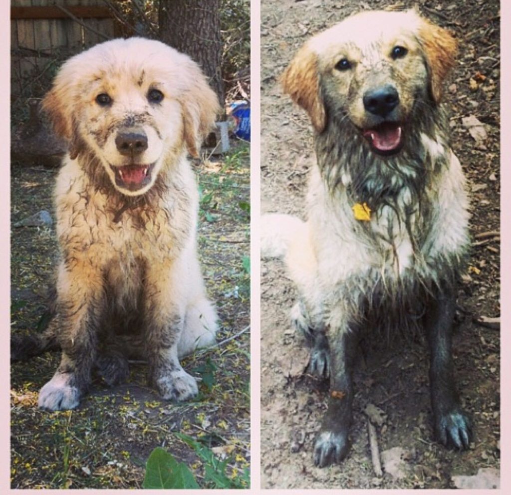 cute-overload:  2 months to 1 year.. Not much has changed :)http://cute-overload.tumblr.com