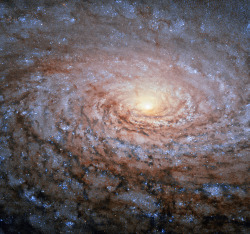 just&ndash;space:  The Sunflower Galaxy M63  js