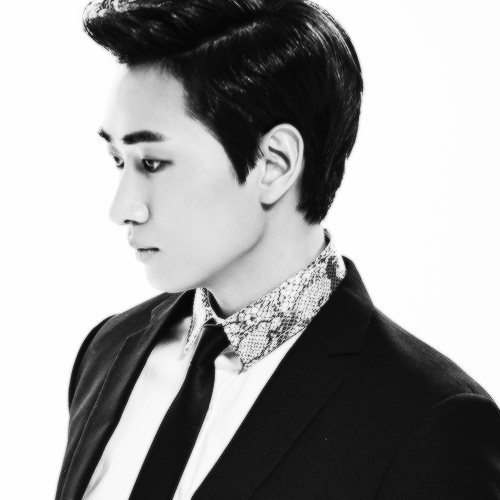  SJM Swing 