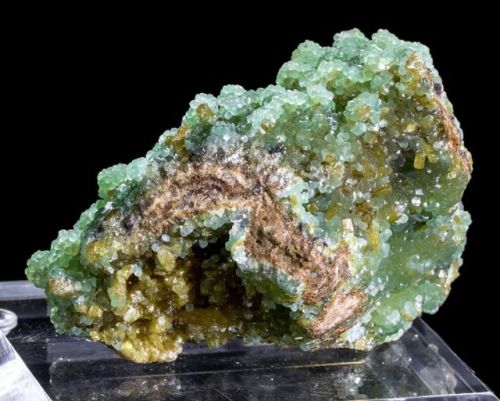 Cuprian Smithsonite with Mimetite - Tsumeb Mine, Tsumeb, Namibia  