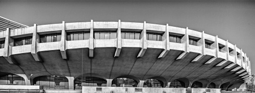 Yoyogi National Gymnasium | Kenzo Tange | Manuela Martin