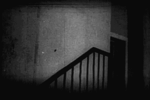 horrorpicturemaniac:  Nosferatu-   Eine Symphonie des Grauens! 