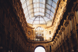 definitelydope:  Milan (by Carrie WishWishWish)