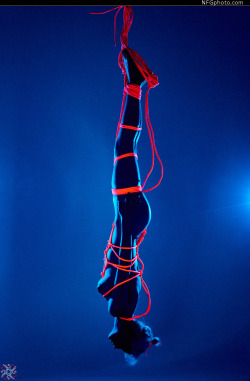 alicexblog:  Pink shibari under blacklight with nfgphoto 