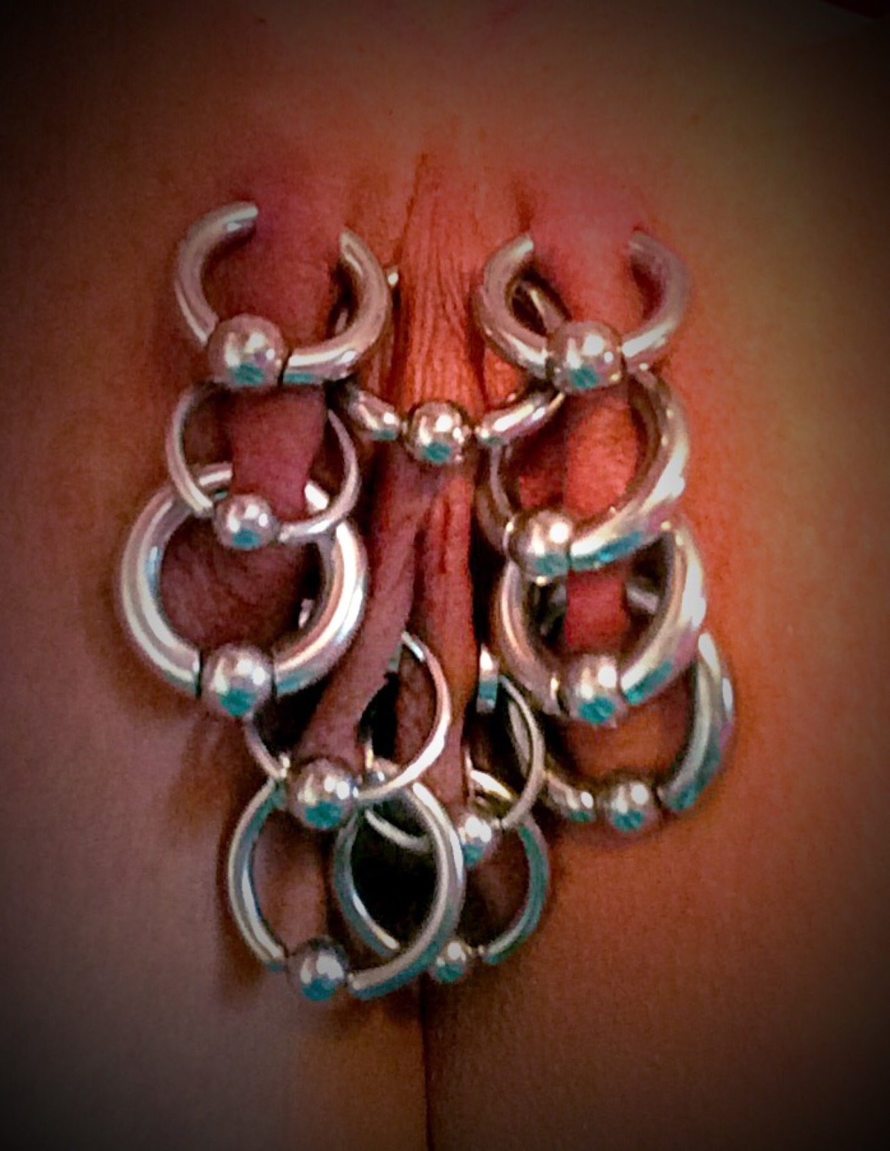 pussymodsgaloreA well pierced pussy with good sized rings. Going by the rings, she