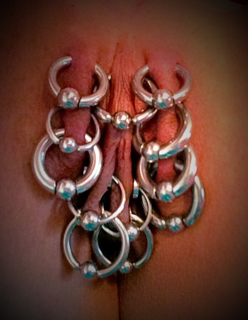pussymodsgaloreA well pierced pussy with good sized rings. Going by the rings, she has 7 outer labia piercings, 4 on one side and 3 on the other. Why not 4 on each side for symmetry? She has 4 inner labia piercings with inserted flesh tunnels and rings,