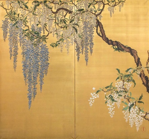 beifongkendo:Wisteria on byobu (‘windwall’) screen, colour paint on golden background, late Edo or e