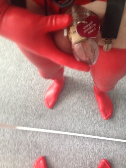 omg-kinkycouple14:Red latex and my sissy slave cock locked up and tagged…..it’s nearly been a month since I last cum! Every time I see her she teases my cock but never lets me cum!  Jealous, I am 😱😱💥