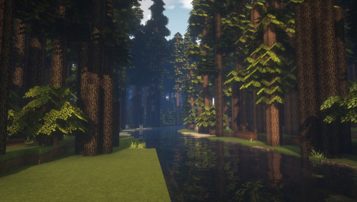 Cocricot + RTG forest <3_<3 …