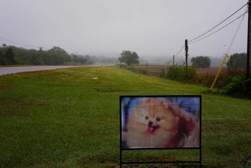 untrustyou:  Jim Baughman