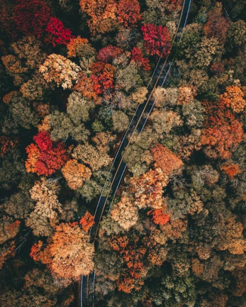 nubbsgalore:rivers and roads. rivers and roads. rivers till i reach you. (x, x, x, x, x, x, x, x, x, x)