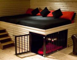 femdomstudentstuff:  new bed  I want 