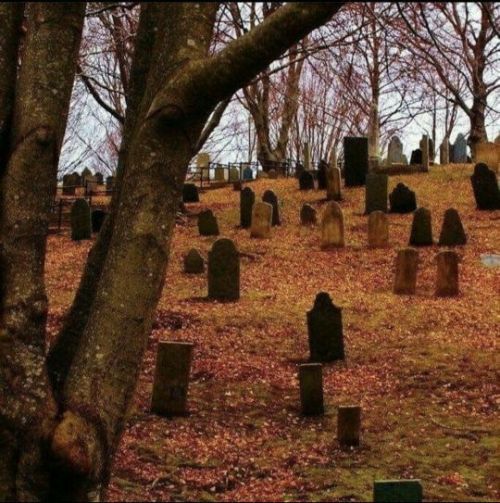 Stray Kids As Your Halloween Costume Partner