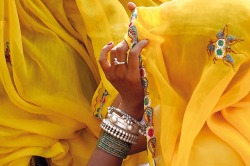 pankajsakina:  Yellow Veils In India   