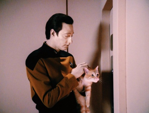 startrekwho: And though you are not sentient, Spot, and do not comprehend, I nonetheless consider you a true and valued friend.
