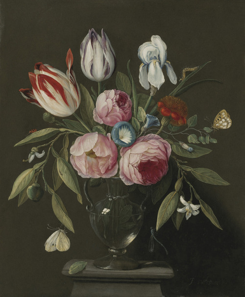 mauveflwrs:Jan van Kessel I Roses, tulips, an iris and other flowers in a glass vase on a stone plin