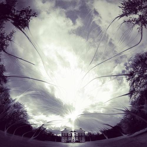 Sometimes all you need is a different perspective. (#repost @a_dorris) #draytonhall #charleston #per
