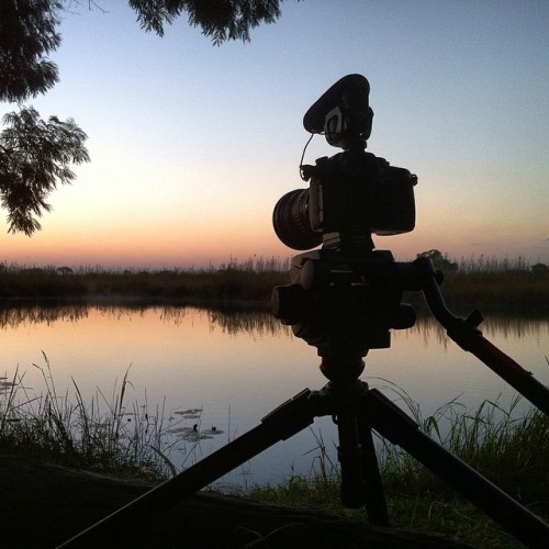 Capturing some morning time lapse along the Kwando River. Enchanting.