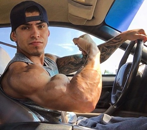 Who wants to ride him?