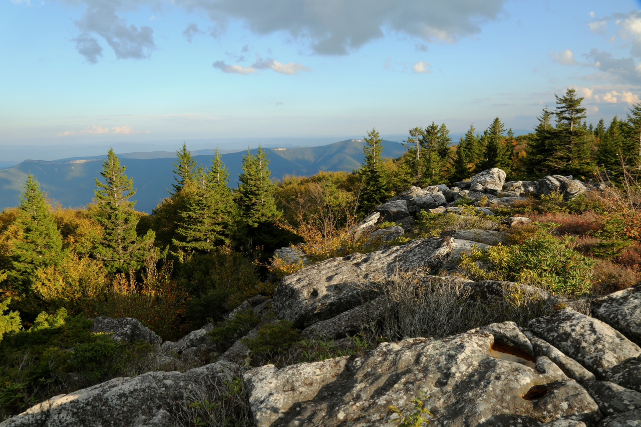 Bear Rocks Dolly Sods Wilderness - West Virginia | West 