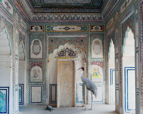 somethingsomedaysomewhere:Karen Knorr - India Song www.karenknorr.com/