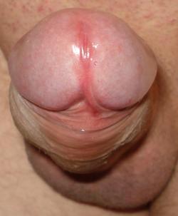 sweet precum