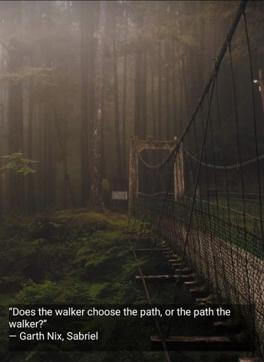 miradademujer:  The path