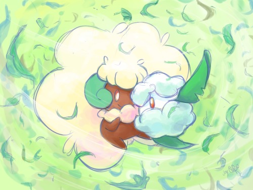 whimsicott