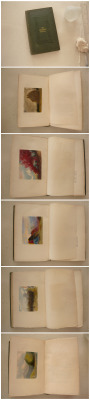 oldbooklover:  The Amateur’s Manual, Colour,