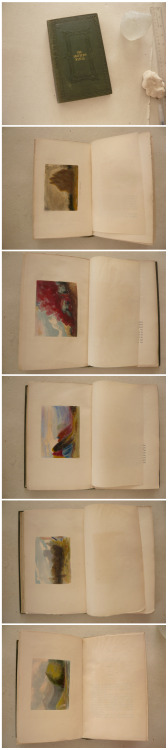 oldbooklover:  The Amateur’s Manual, Colour, As a Means of Art, being an adaptation of the experience of professors to the practice of amateurs,1838, by Frank Howard, with 18 Howard Hudgkin like color litho illustrations 