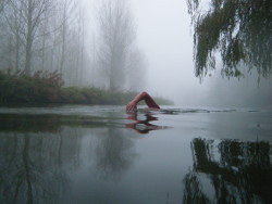 love-personal:  Swimming in the Nene 