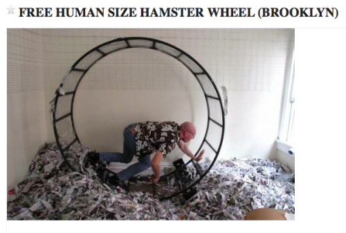 disgustinghuman:  tibets:  if you live in new york, this is the chance of a life time.  ;_;  you didn’t add the best part  though “50 LBS OF SHREDDED NEWSPAPER INCLUDED.”not even kidding.