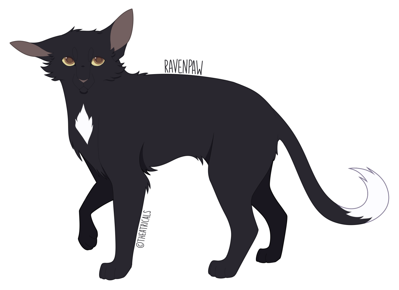 Warrior Cats Designs: Ravenpaw : r/WarriorCats