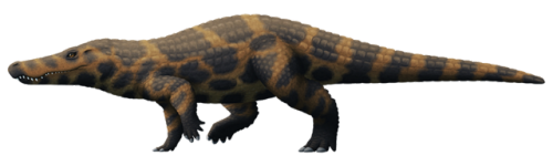 alphynix:Boverisuchus magnifrons*, a crocodilian from the early Eocene of Germany (~50-40 mya). Reac