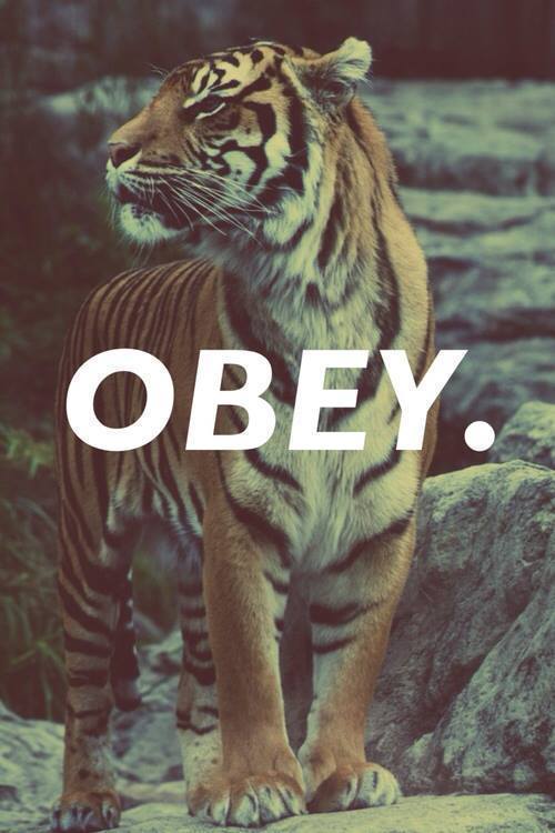 streetkillaz:   On We Heart It - http://weheartit.com/entry/95677353 