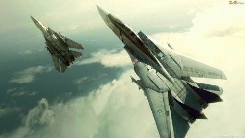 Ace Combat 5. Wardog Squadron&rsquo;s canon aircraft, the F-14A Tomcat.