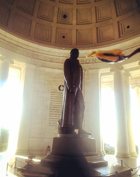 georgewashingwoes: georgewashingwoes:  Sooo I’m down in DC for the weekend with