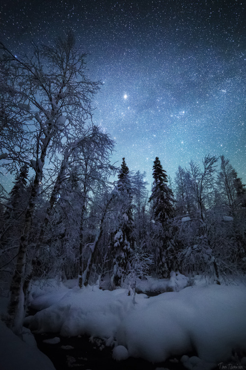 tiinatormanenphotography:Night walk.  I really love winter nights, cold but there is something very mystical.  21/22th Jan 2015 , Southern Lapland, Finland. by  Tiina Törmänen     www | FB 