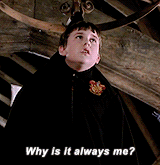 harry potter meme | [3/8] characters → neville longbottom“People die every day. Friends, family. Yea