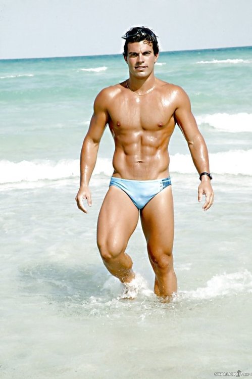 Speedo Celebration