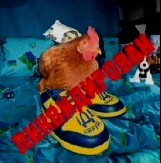 Tumblr media