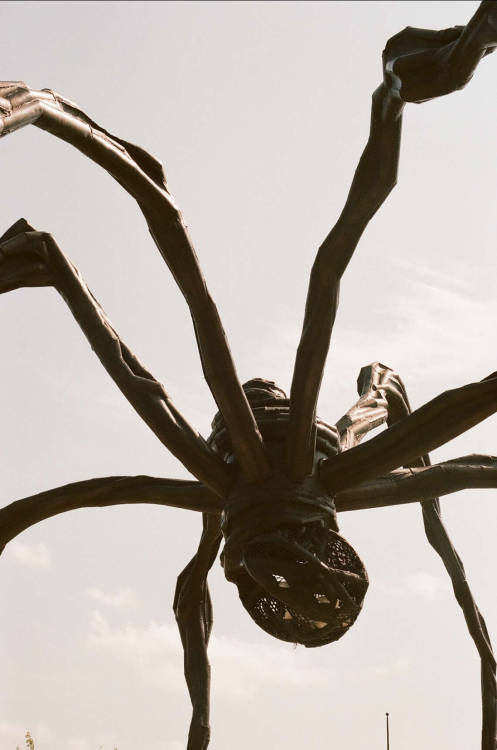 dcci:The Spider of Louise BourgeoisOttawa ON | August 2021Images shot by me (dcci) with a Canon EOS 