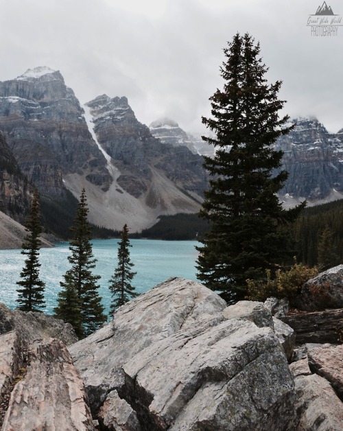 greatwideworldphoto:Tones of Grey | Original by Great Wide World PhotographyTaken in Alberta, Canada