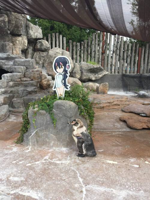 Grape-kun Left Our World Two Years Ago, But He Has Not Left Our Hearts.